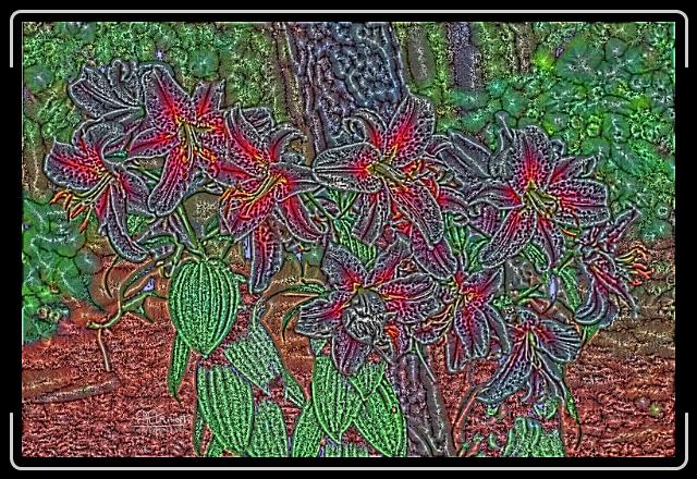 tiggerlillys sketch.jpg - Tigerlilys photosketch style.